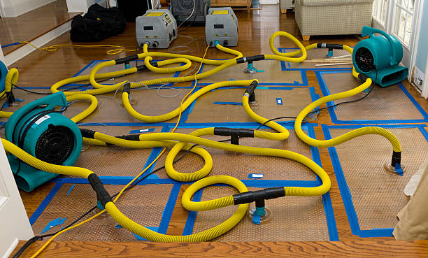 Professional Water Extraction technician working in Brillion, WI